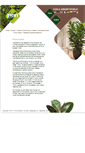Mobile Screenshot of ficusforever.com