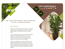 Tablet Screenshot of ficusforever.com